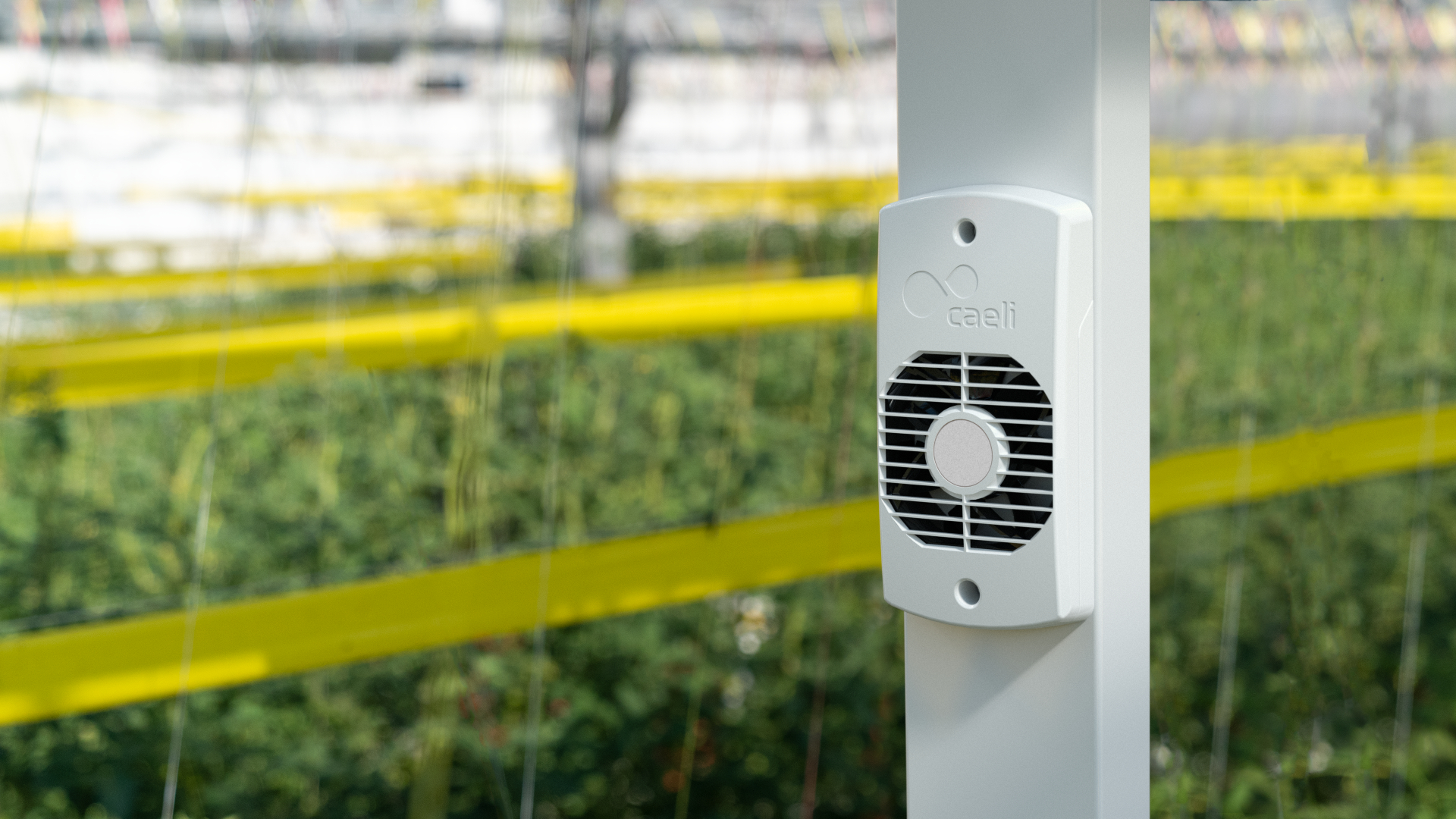 Caeli™ in kasconstructie geïntegreerde ventilator
