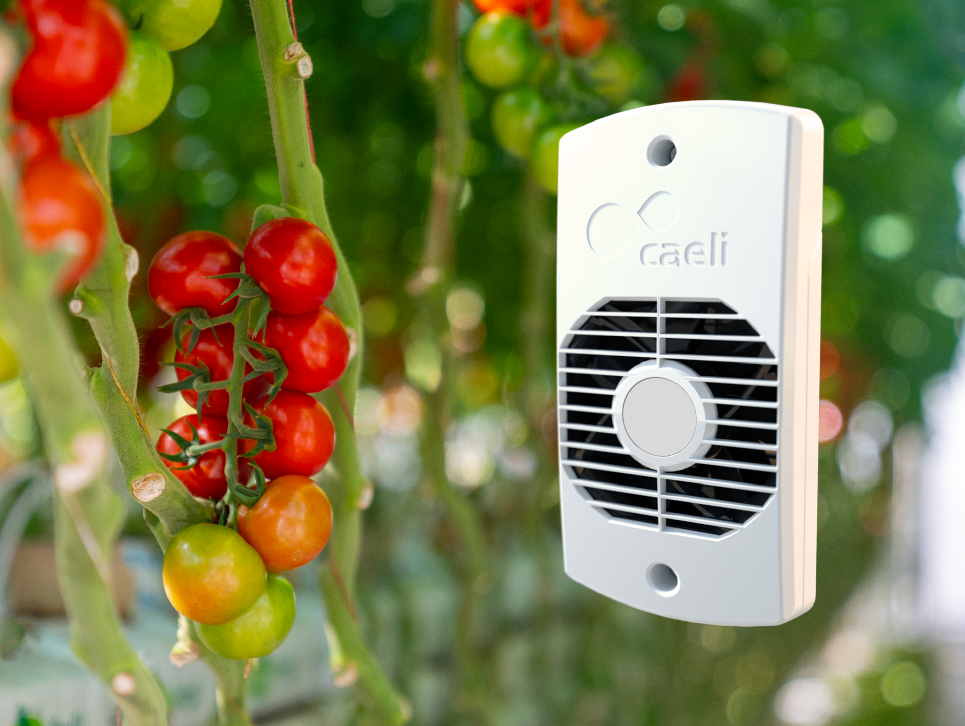 Caeli™ de slimme ventilator