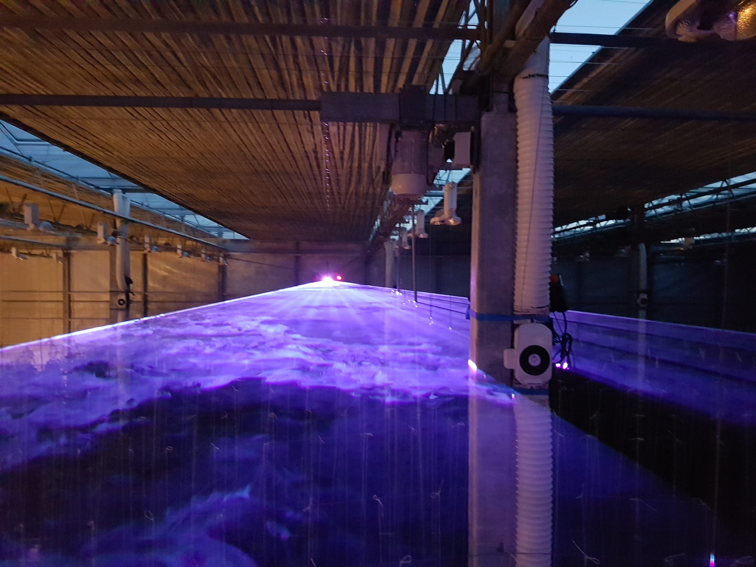 Caeli - test & measurement